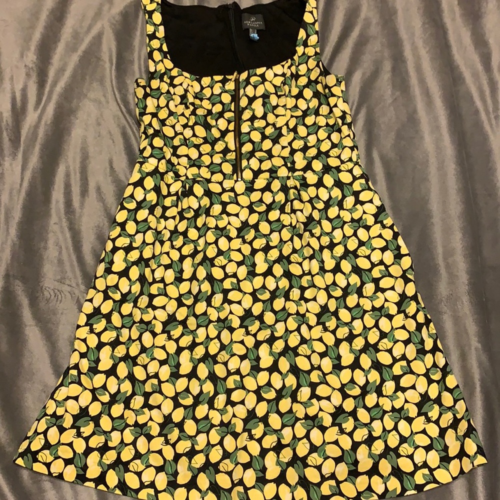 Lemons dress. I wore to work and a brunch. Great condition.